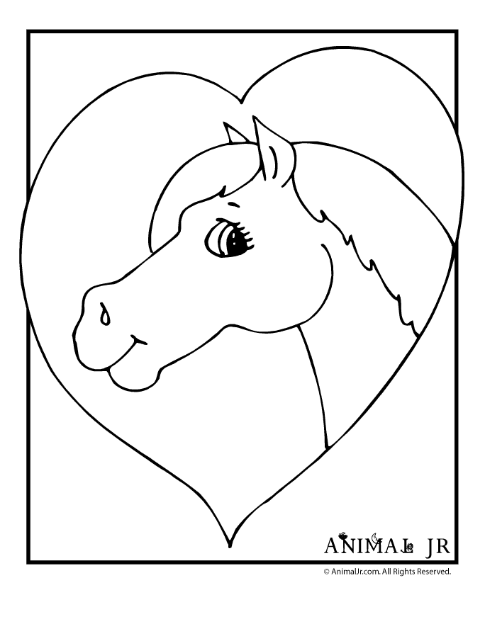 Horse Face Coloring Pages Clip Art Library