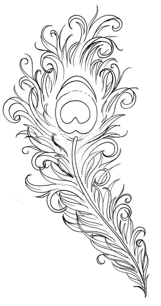 Featured image of post Free Printable Peacock Coloring Pages For Adults Find more peacock coloring page for adults pictures from our search