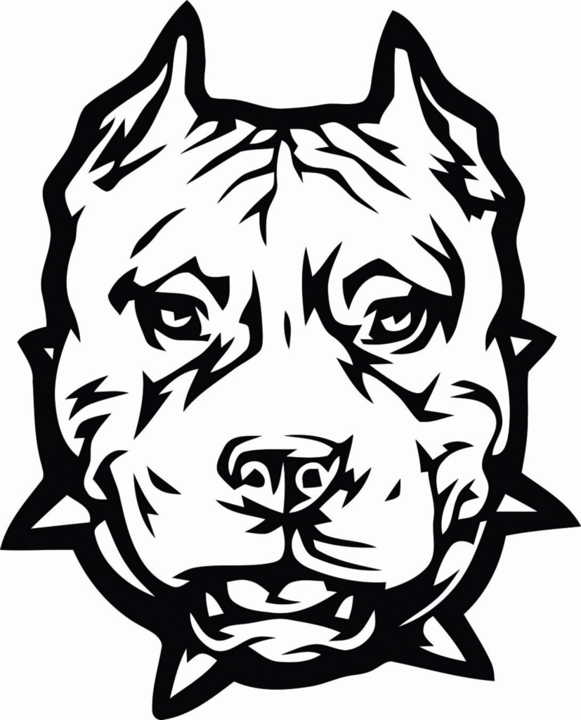 Pitbull Drawing Clip Art Library