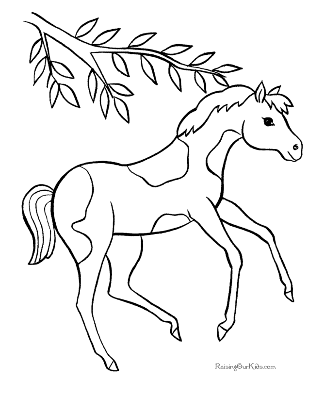 Free horse sheet to color