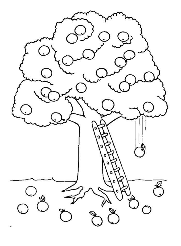 Apple Tree And Ladder Coloring Page | Tree Coloring Page
