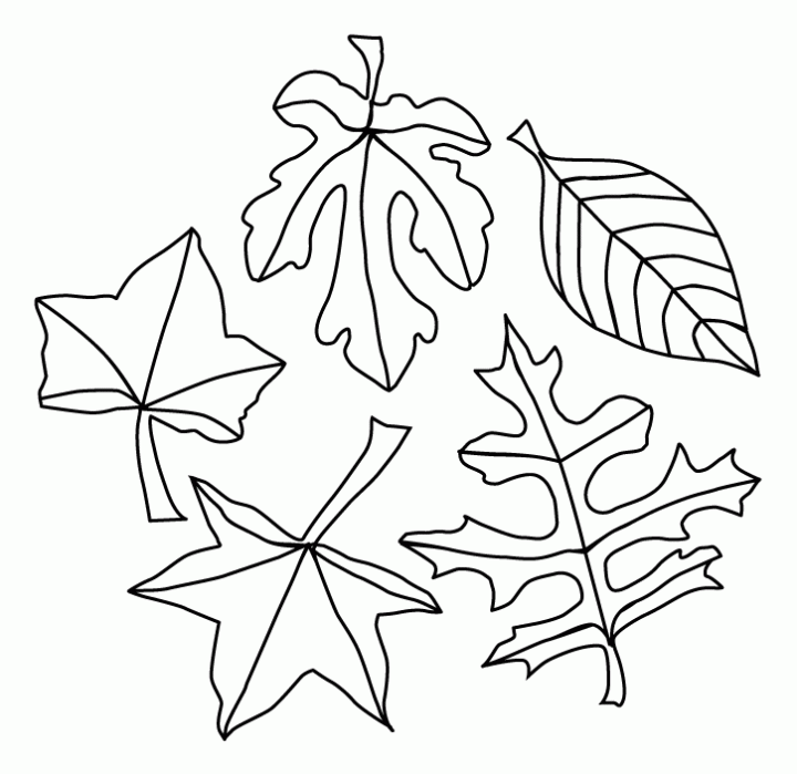 Coloring Pages Of Fall Leaves | Free Printable Coloring Pages