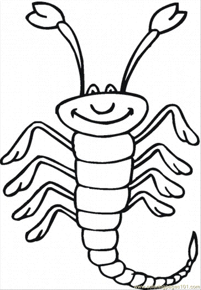 Coloring Pages Scorpion 18 (Animals  Arachnids) | free printable