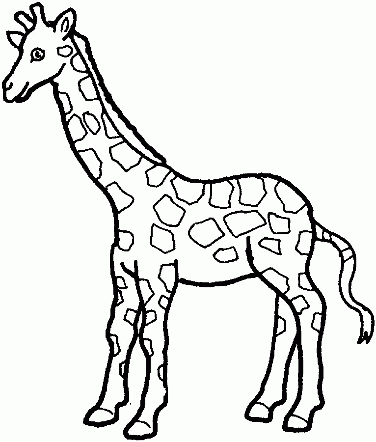 Free Printable Giraffe Pictures Download Free Printable Giraffe Pictures Png Images Free Cliparts On Clipart Library