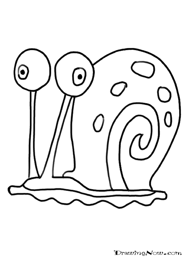 How to Draw Snails : Drawing Tutorials  Drawing  How to Draw