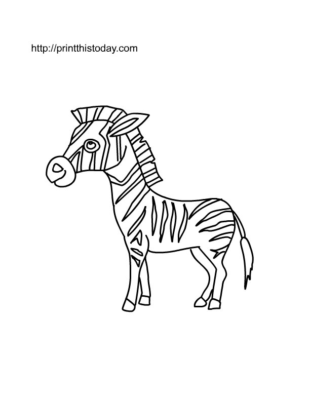 Jungle Animal| Coloring Pages for Kids | Free Printable Coloring