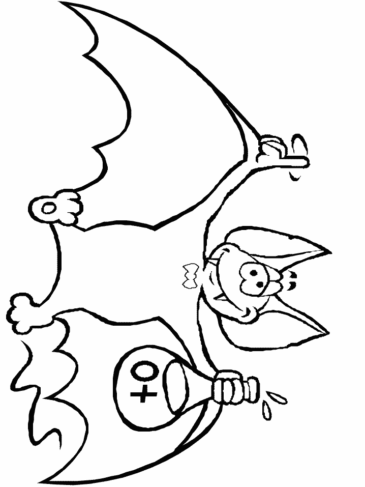Bats 11 Animals Coloring Pages  Coloring Book