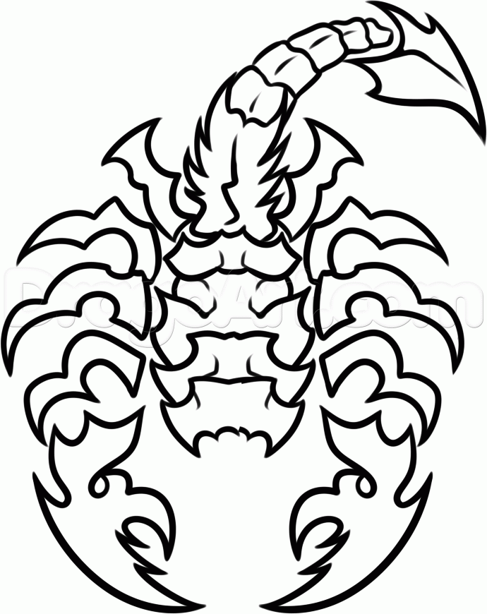 How to Draw a Scorpion Tattoo, Step by Step, Tattoos, Pop Culture