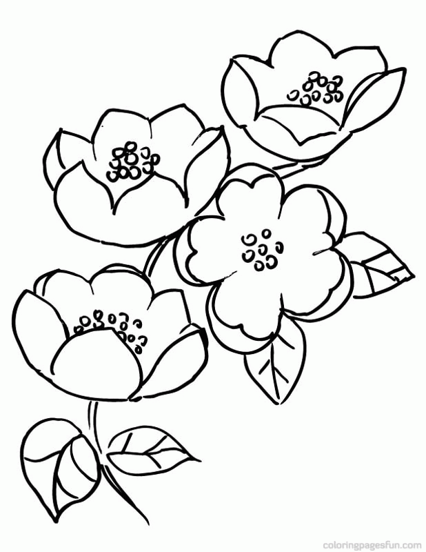 Featured image of post Japanese Cherry Blossom Coloring Pages The kanji reads spirit and the cherry blossom tree above i think came out really well