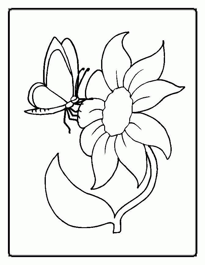 Featured image of post Free Printable Pictures Of Flowers And Butterflies - These free, printable butterfly coloring pages of various butterflies provide hours of fun for kids.