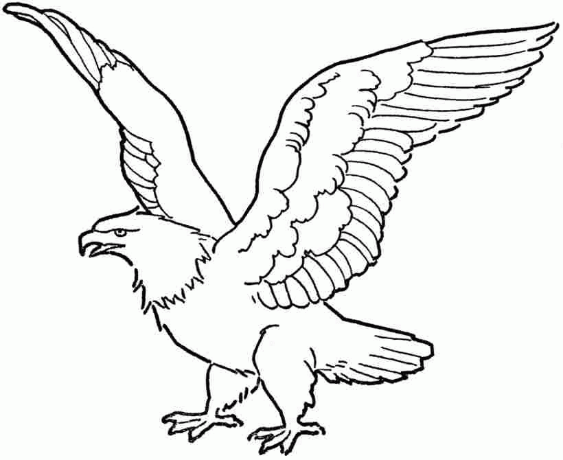 free-printable-eagle-pictures-download-free-printable-eagle-pictures