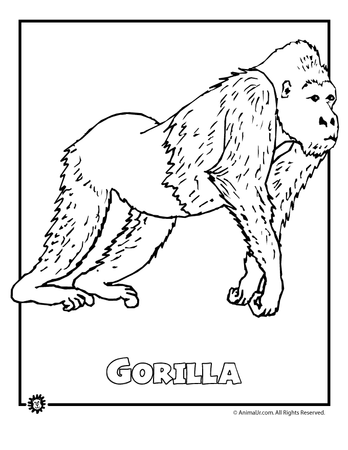 Free Printable Group Of Animals To Color