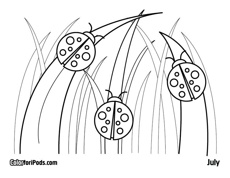 Lady Bug Coloring Pages 