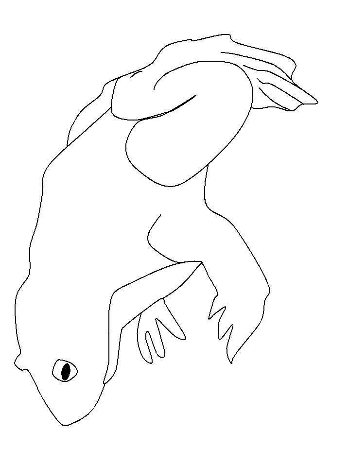 Printable Frogs 31 Animals Coloring Pages