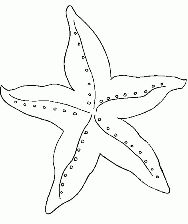 Simple Starfish Coloring Page | Online Coloring Pages