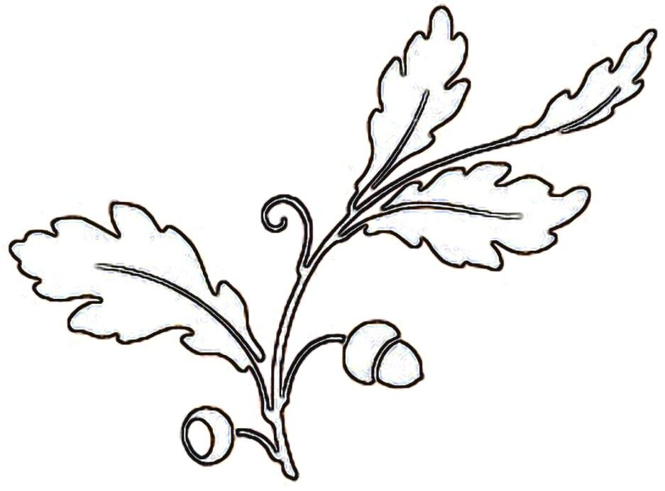 Oak Leaves Outline | Clipart library - Free Clipart Images