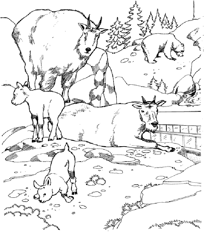 Zoo Animal Coloring Page | Free Printable Coloring Pages