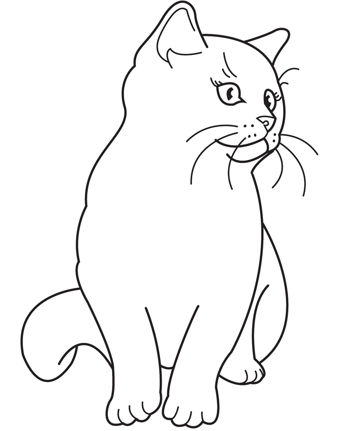 Cat Coloring Page 