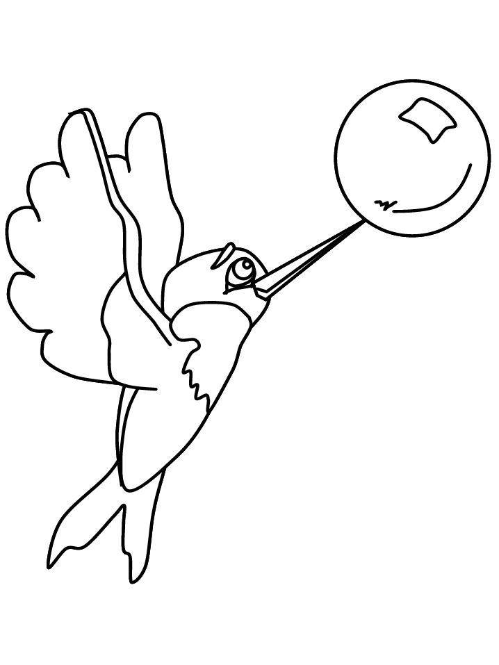 hummingbirds Colouring Pages