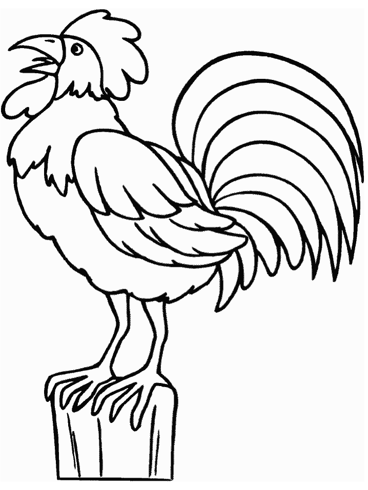 Rooster Animals Coloring Pages  Coloring Book