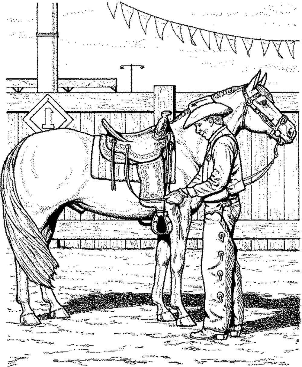 free-free-printable-realistic-horse-coloring-pages-download-free-free