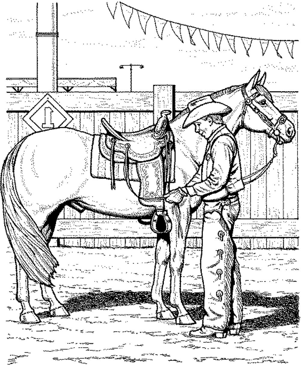 Free Free Printable Realistic Horse Coloring Pages Download Free Free Printable Realistic Horse 