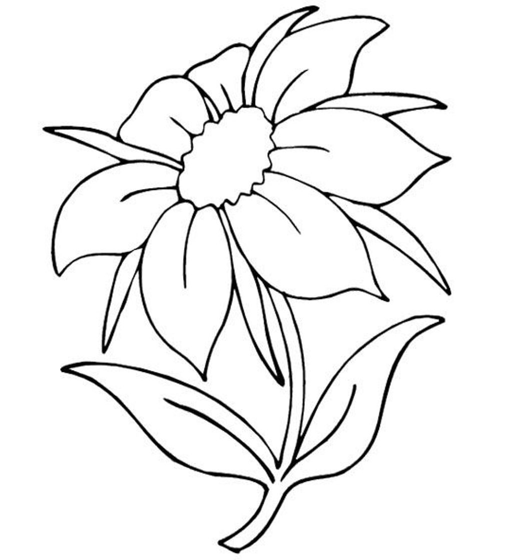 Free Jasmine Flower Coloring Pages, Download Free Jasmine Flower