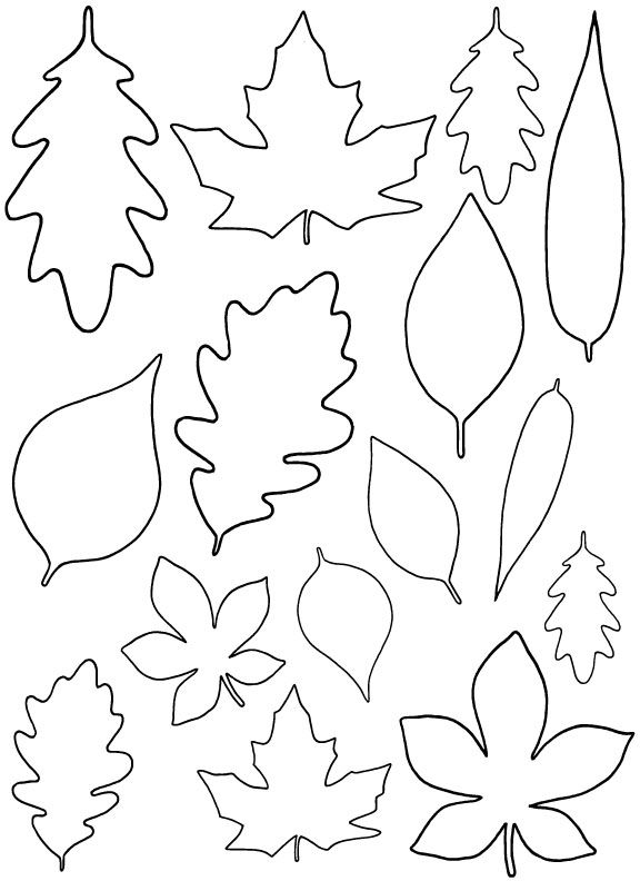  Leaf Template on Clipart-library | Leaf Patterns