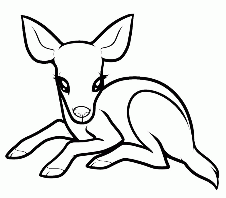 cute deer drawing easy - Clip Art Library