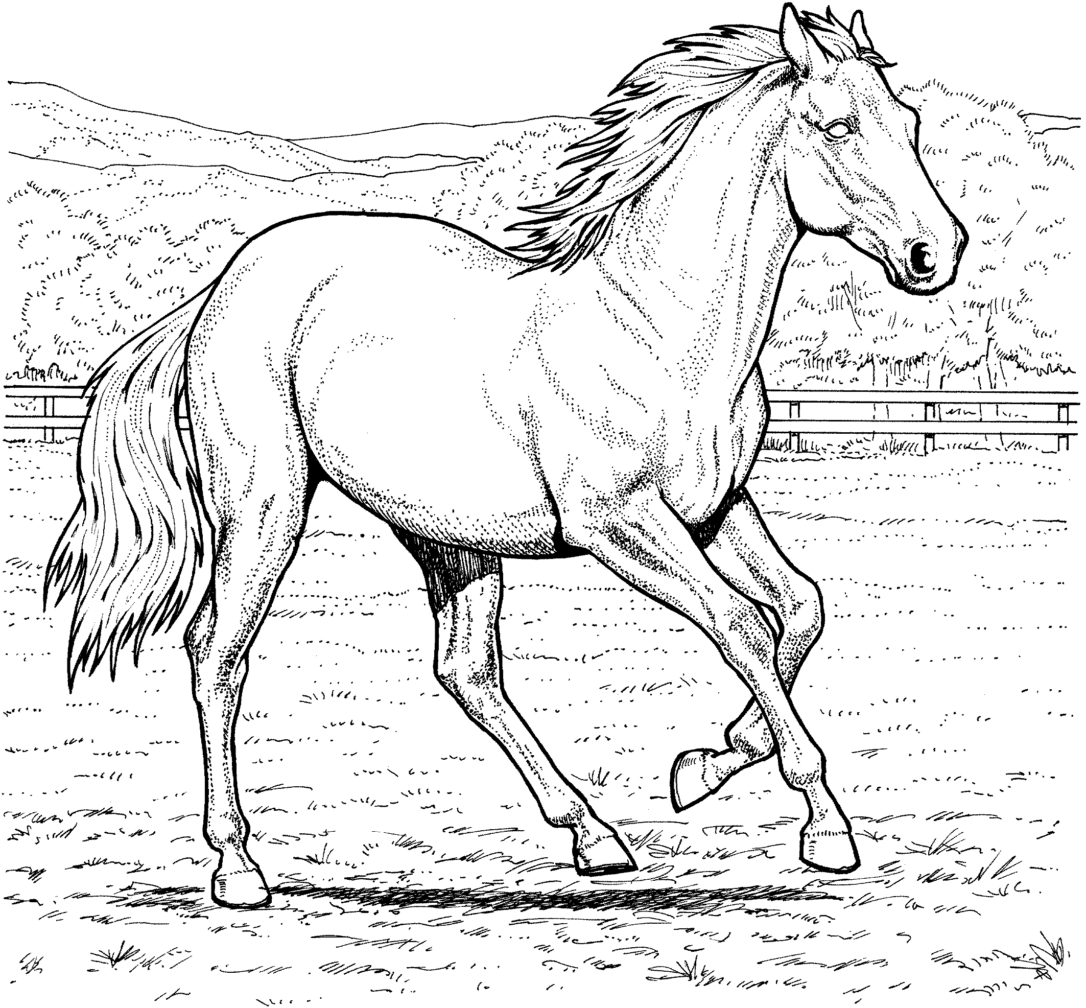 Free Free Printable Realistic Horse Coloring Pages, Download Free Free