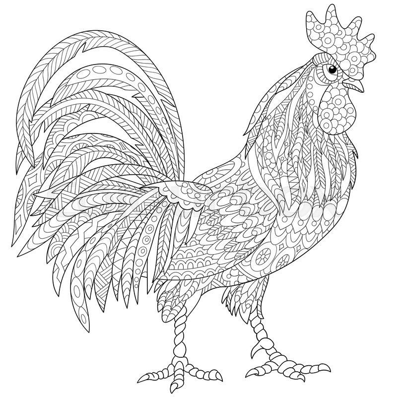 Zentangle stylized cartoon rooster (cock), isolated on white
