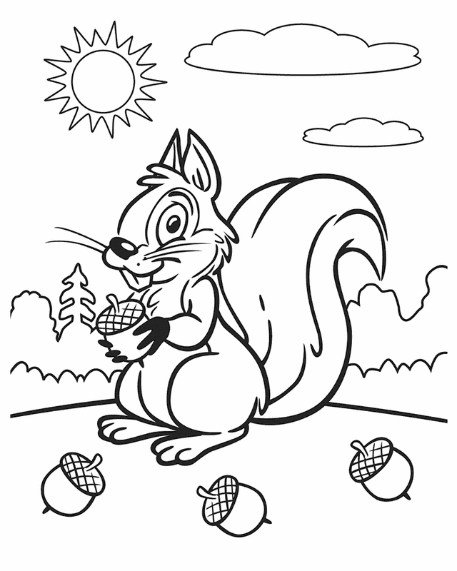 cartoon squirrel Colouring Pages