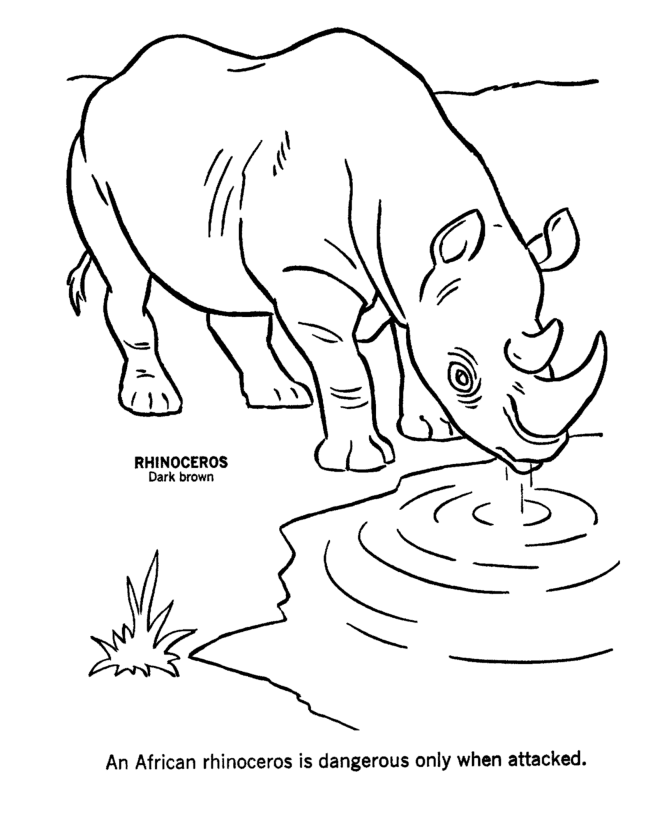 Wild Animal Coloring Pages | African Rhinoceros Coloring Page