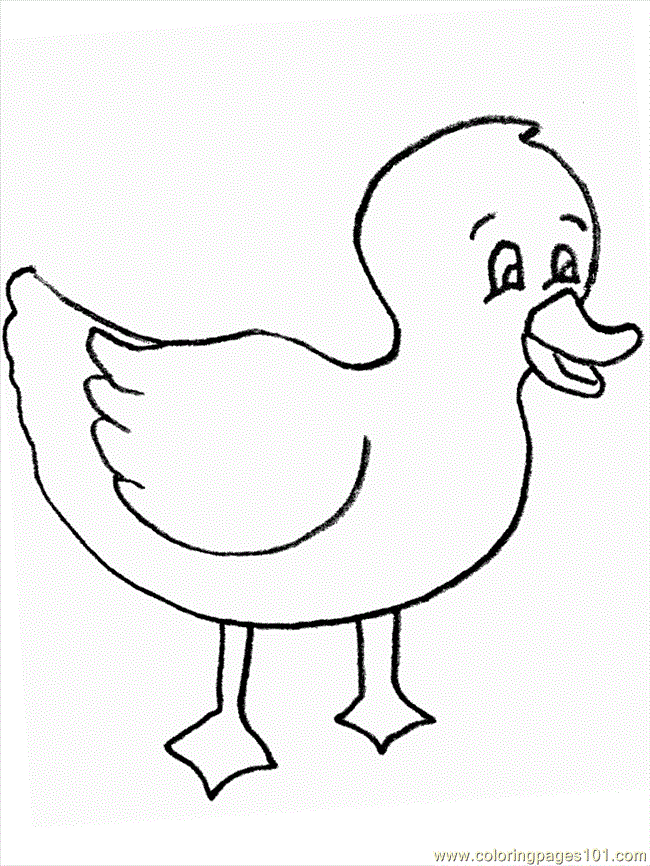 Coloring Pages Coloring Pages Duck9 (Birds  Ducks)| free printable