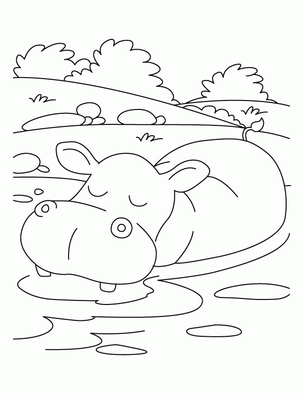 Free Hippopotamus Coloring Page Download Free Hippopotamus Coloring Page Png Images Free Cliparts On Clipart Library