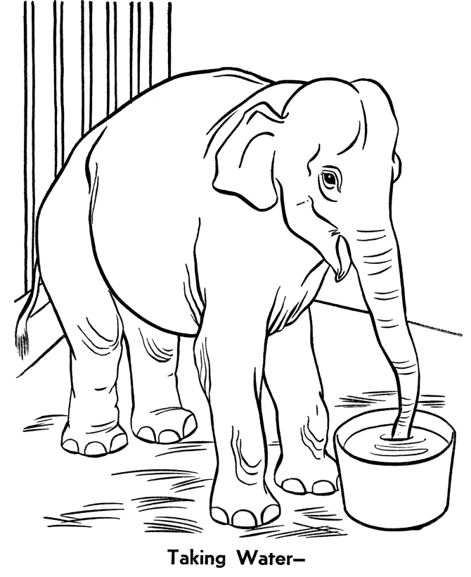 zookeeper-coloring-page-at-getdrawings-free-download