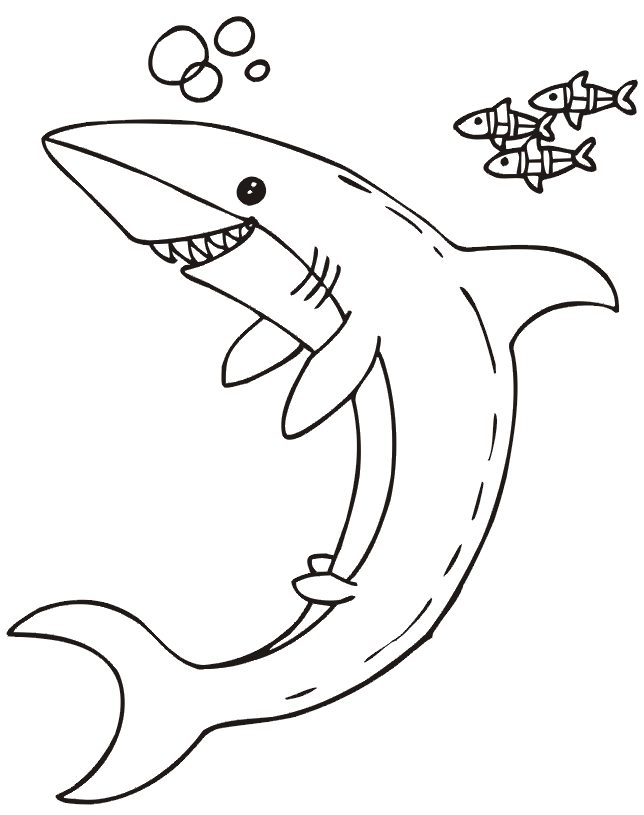 Shark Coloring Page | Shark  Little Fish