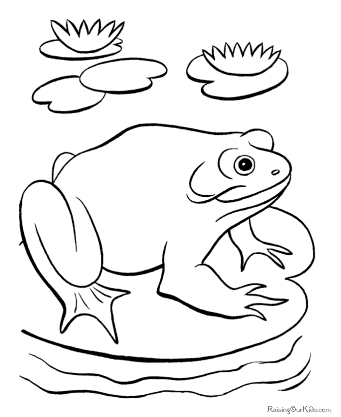 Frog pages to print and color