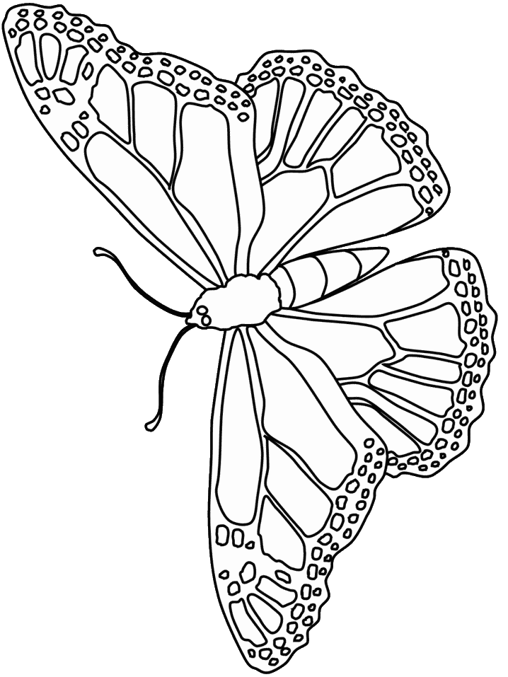Butterfly Coloring Pages|free printable butterfly coloring pages