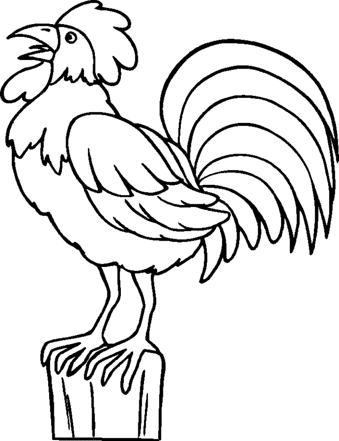 free-coloring-page-rooster-download-free-coloring-page-rooster-png