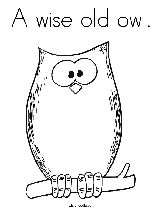 Owl Coloring Templates