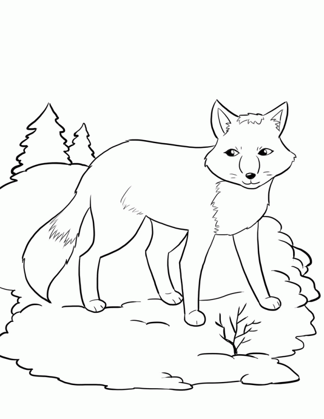 Sweet Winter Animal Fox Coloring Page For Kids 