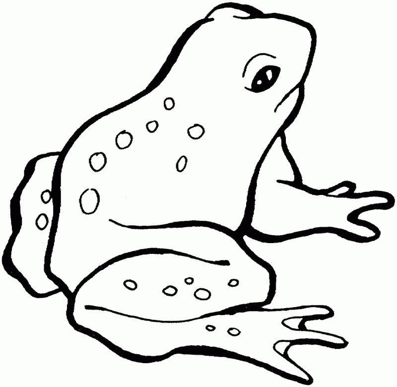 Frog Colouring Clip Art Library
