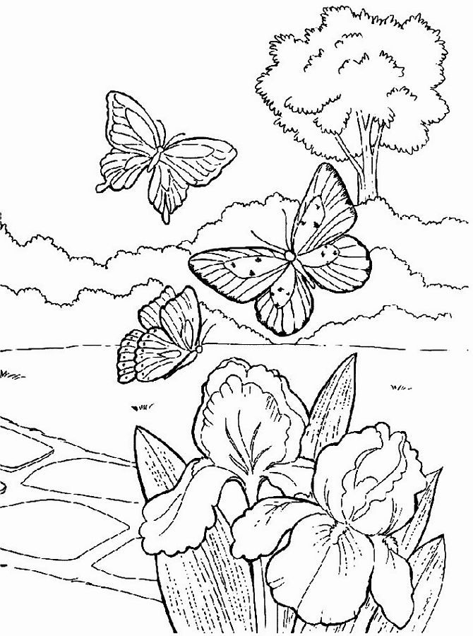 Spring Coloring Pages | Free Printable Coloring Pages | Free