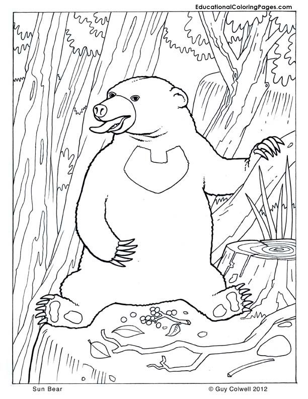 Mammals Book Three Coloring Pages | Animal 