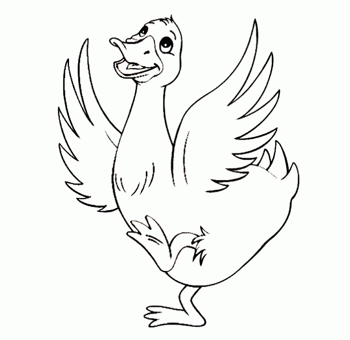 Free Printable Duck | Coloring Page for Kids