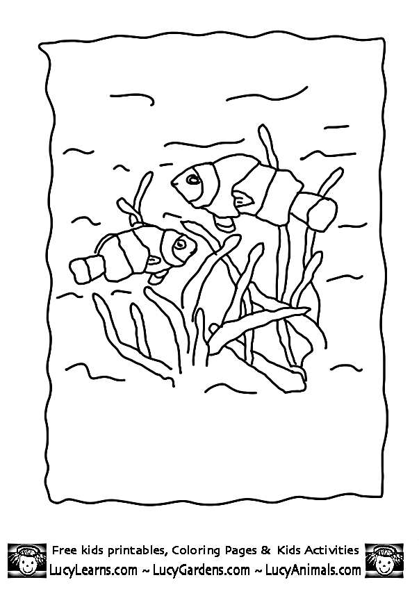 Clown Fish Coloring Page | Free Printable Coloring Pages