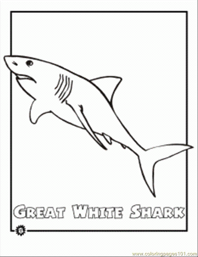 Cartoon Shark Coloring Pages 