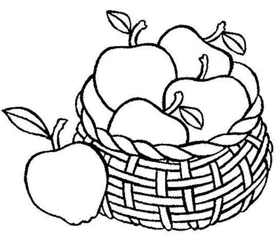 Download Apple Fruit Coloring Pages In The Basket Or Print Apple