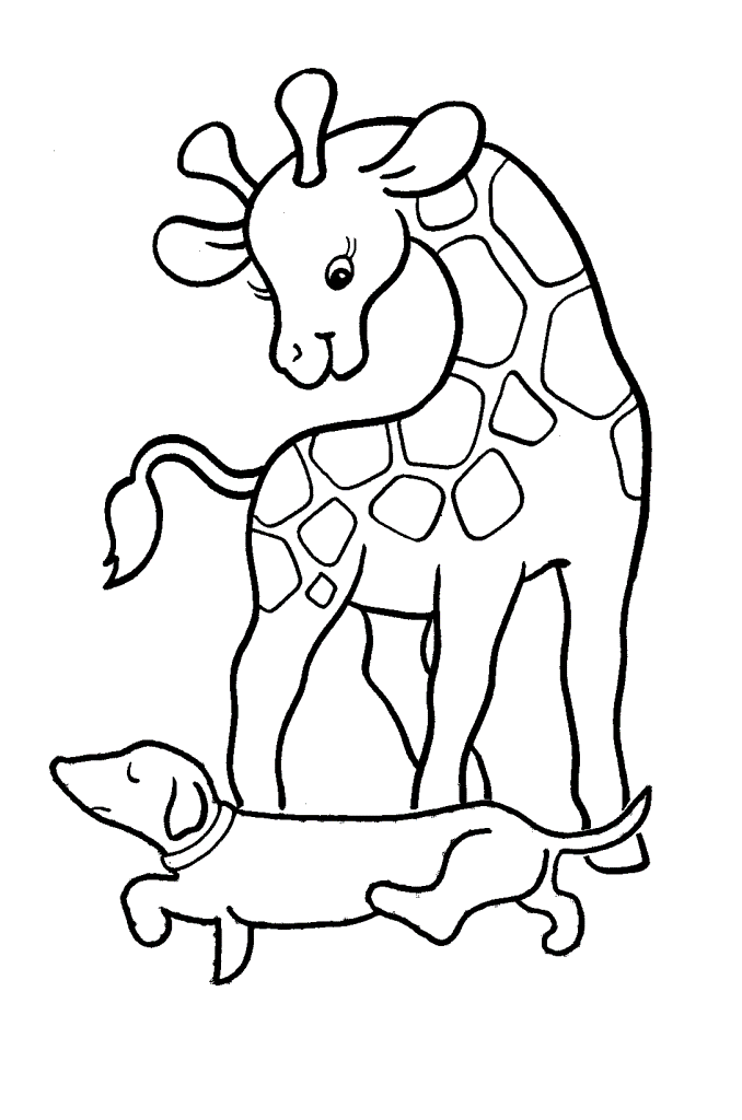 print out the puzzles then have fun coloring and solving